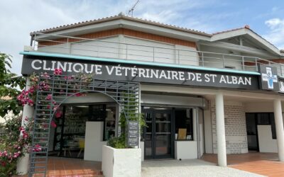 Cas client – Clinique vétérinaire de Saint-Alban
